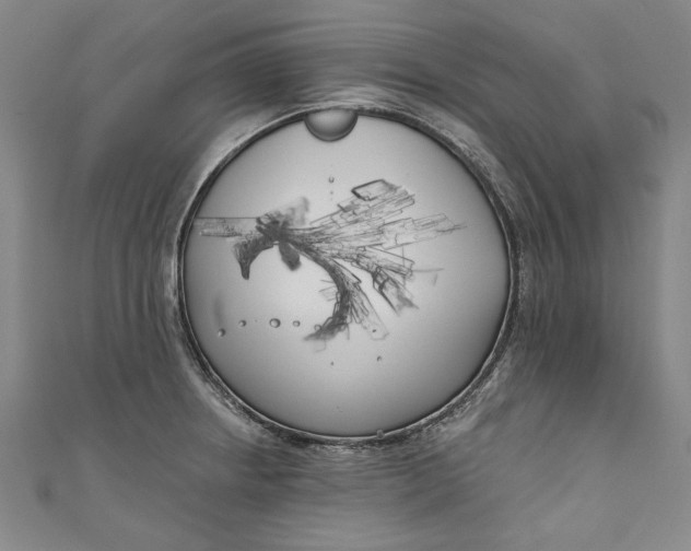 X0000111171234200907221021