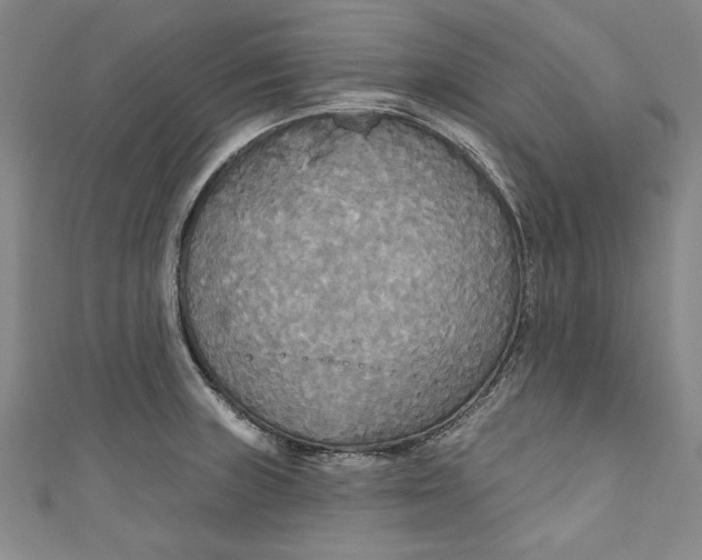 X0000111171235200907221021