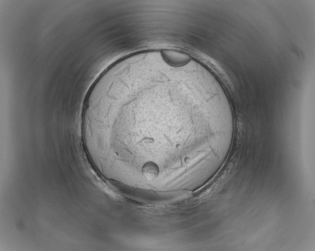 X0000111171236200907221021