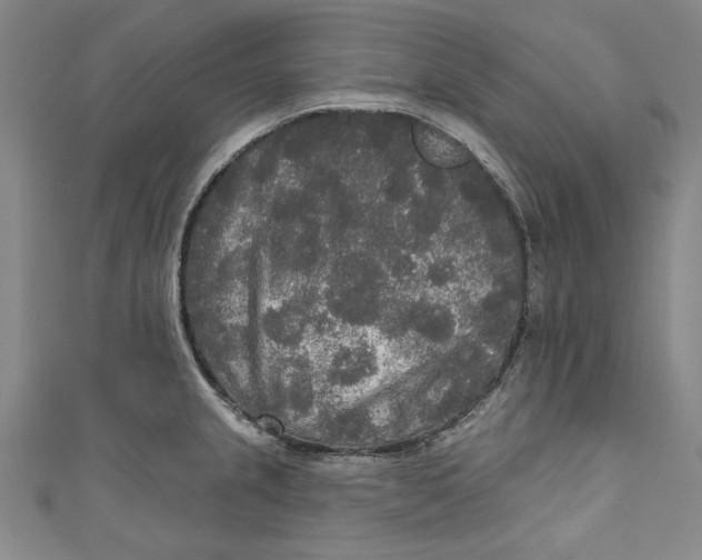 X0000111171237200907221021