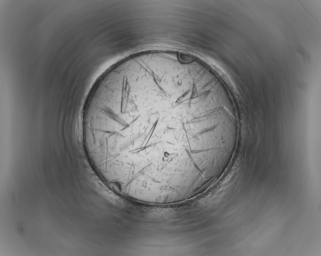 X0000111171238200907221021