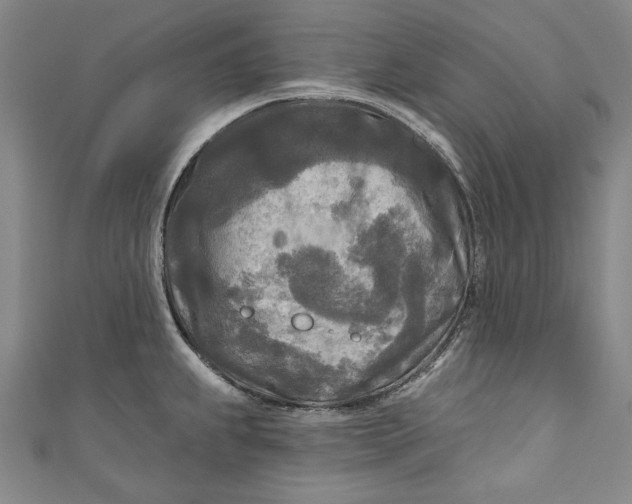 X0000111171239200907221021