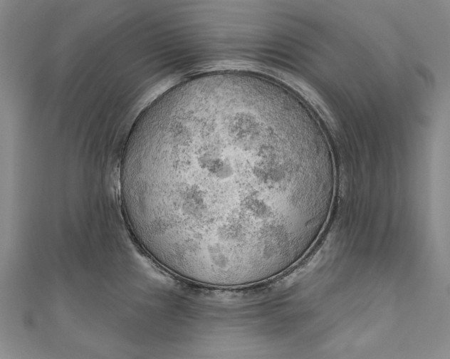 X0000111171241200907221021