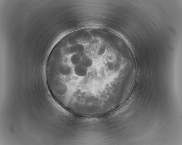 X0000111171243200907221021