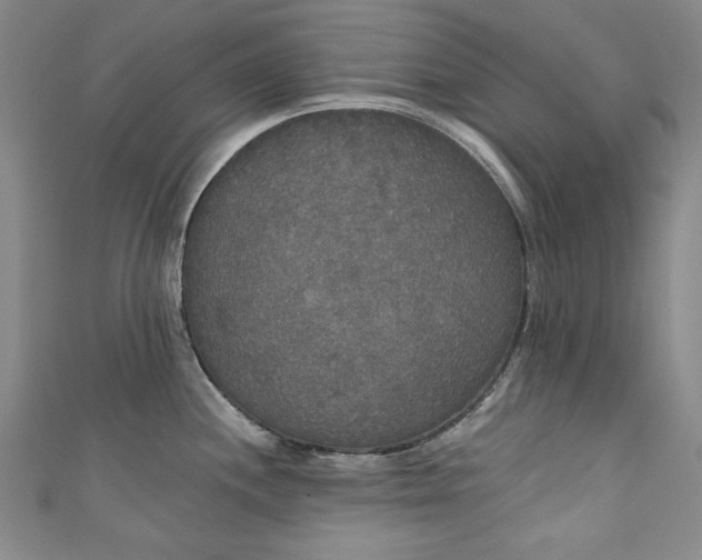 X0000111171244200907221021