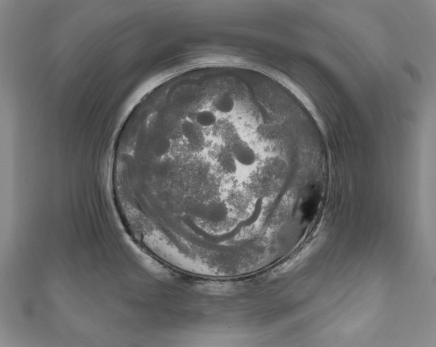 X0000111171245200907221021