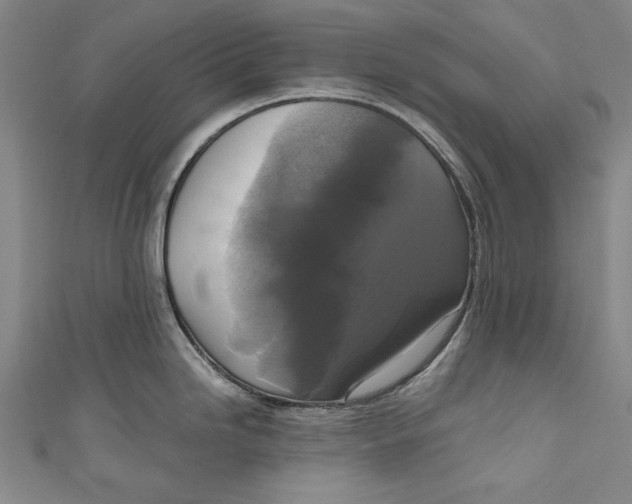 X0000111171246200907221021