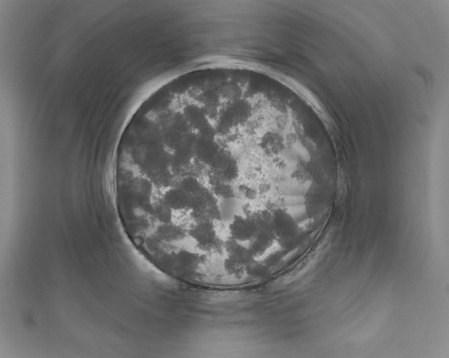 X0000111171247200907221021