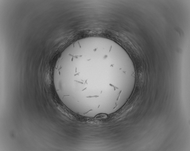 X0000111171250200907221021