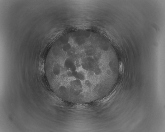 X0000111171251200907221021