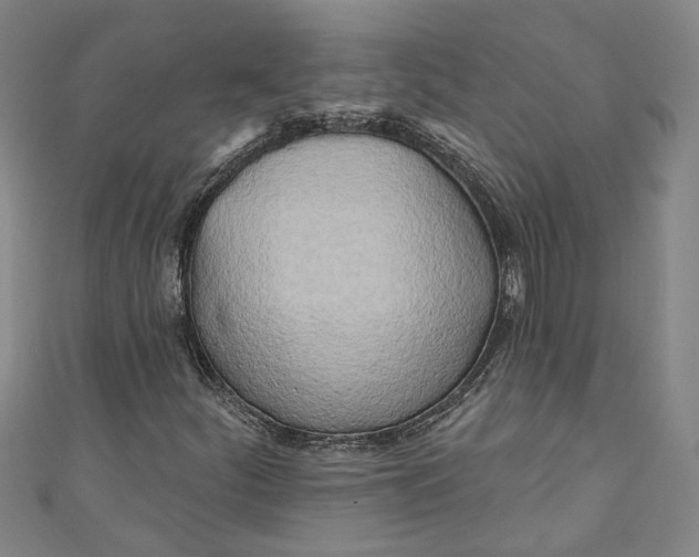 X0000111171252200907221021