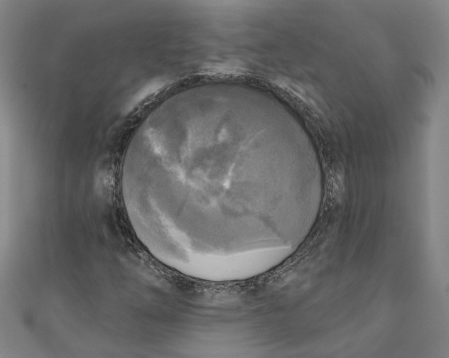 X0000111171254200907221021