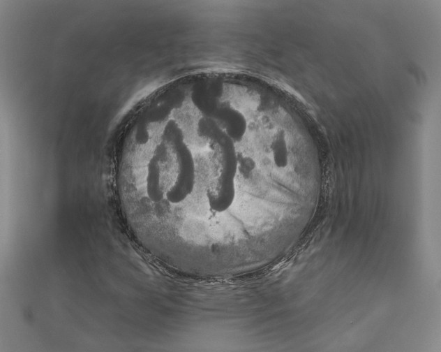 X0000111171255200907221021