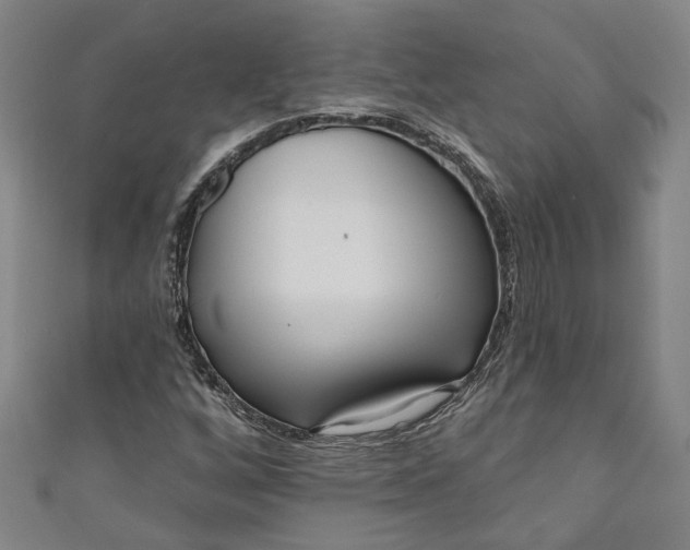 X0000111171256200907221021