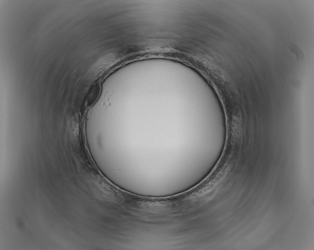 X0000111171257200907221020