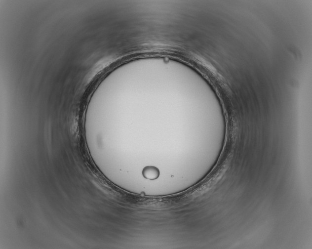 X0000111171259200907221020