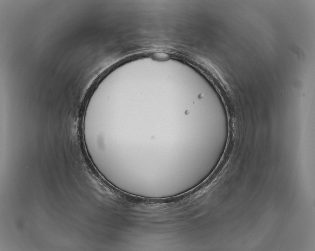 X0000111171260200907221020