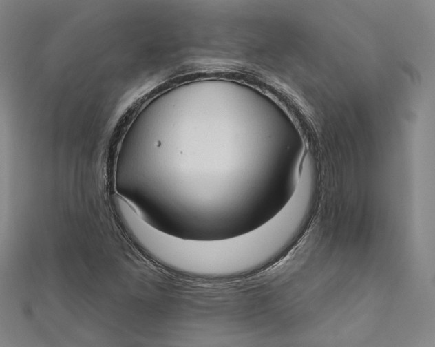 X0000111171261200907221020