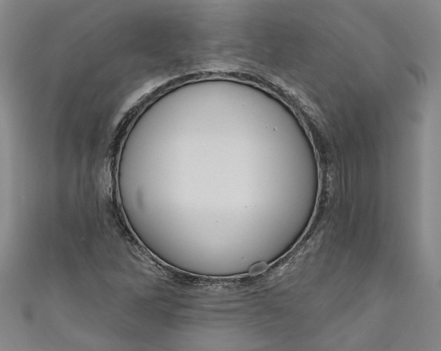 X0000111171262200907221020