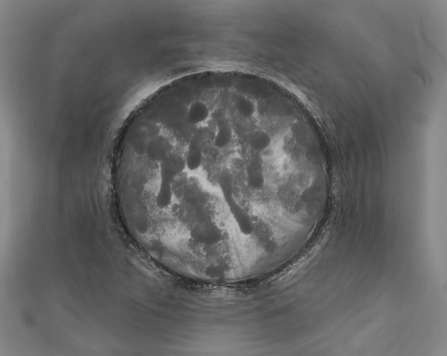 X0000111171263200907221020