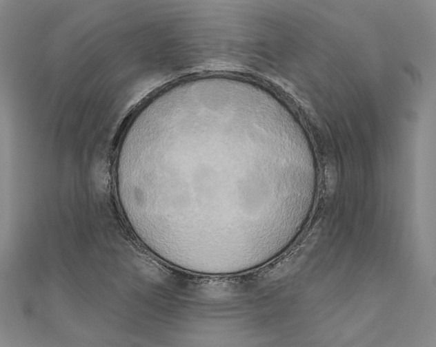 X0000111171266200907221020