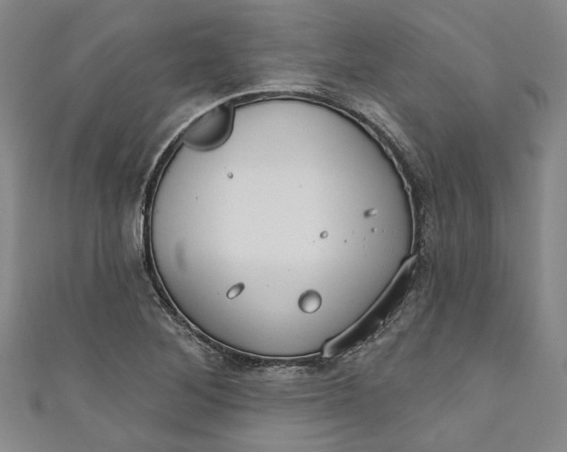 X0000111171268200907221020