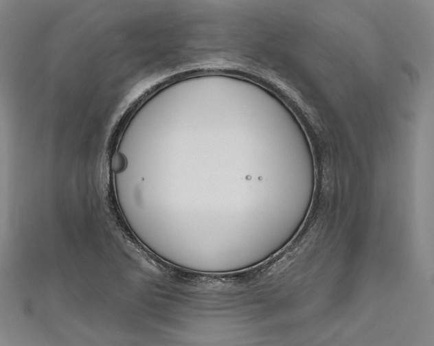 X0000111171270200907221020