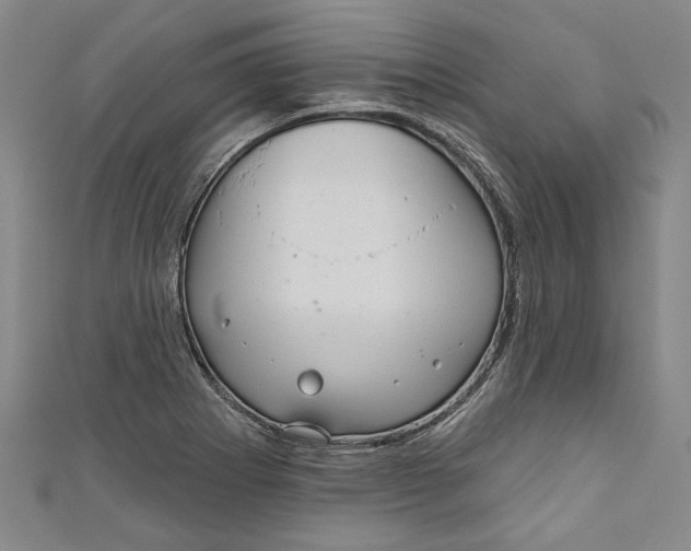 X0000111171273200907221020