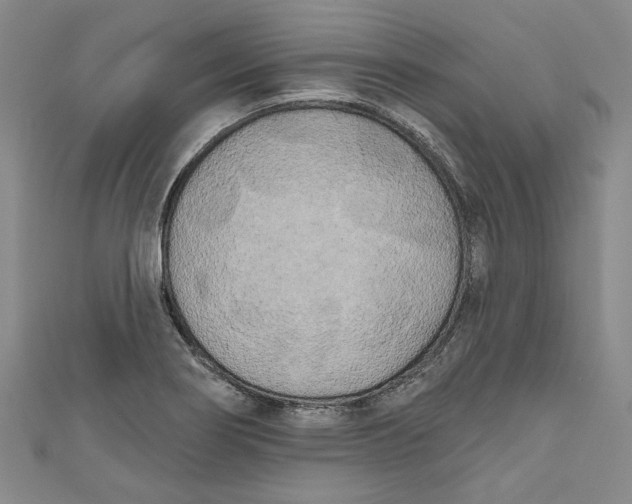 X0000111171274200907221020