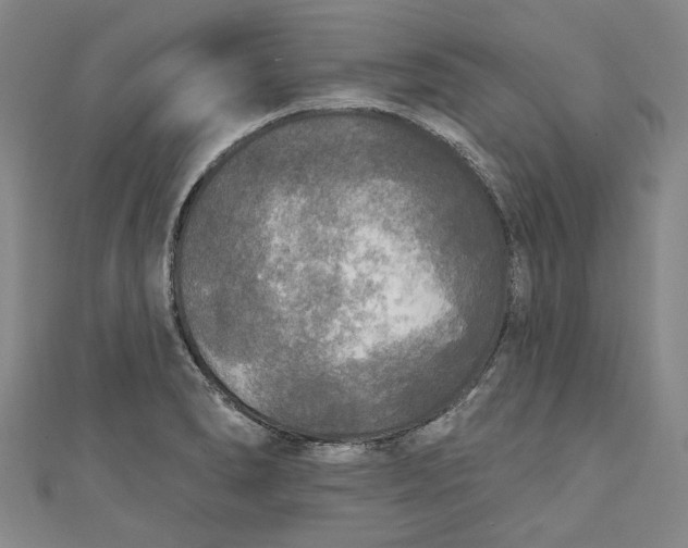 X0000111171278200907221020