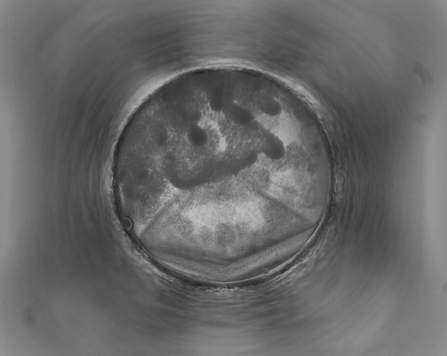 X0000111171279200907221020