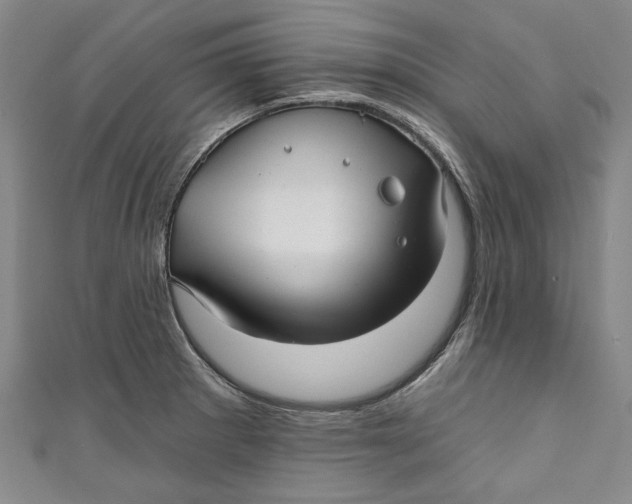 X0000111171281200907221020