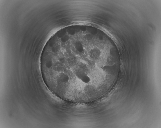 X0000111171283200907221020