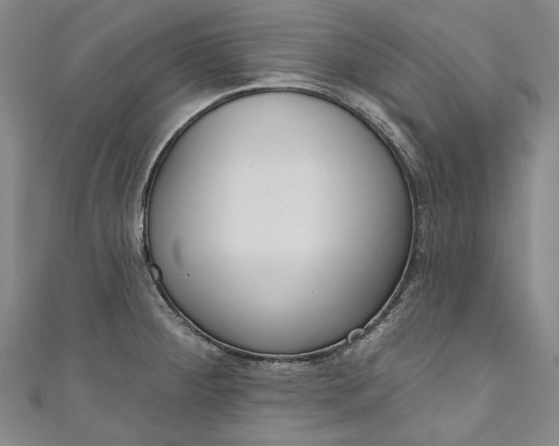 X0000111171284200907221020