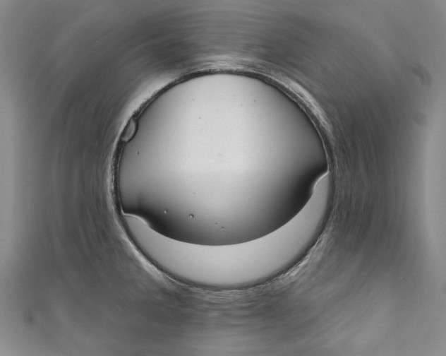 X0000111171285200907221020