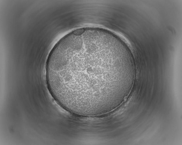 X0000111171287200907221020