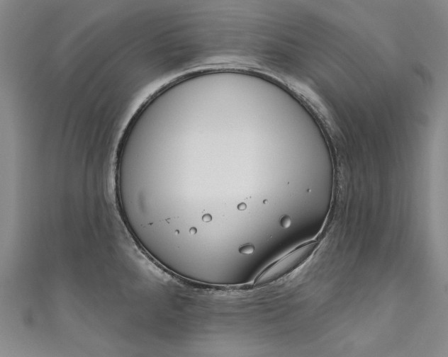 X0000111171288200907221020