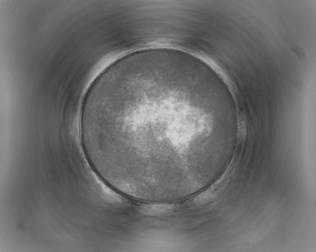 X0000111171294200907221020