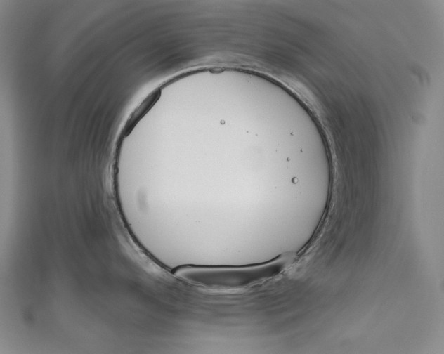 X0000111171296200907221020