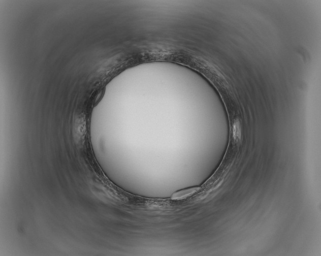 X0000111171299200907221019