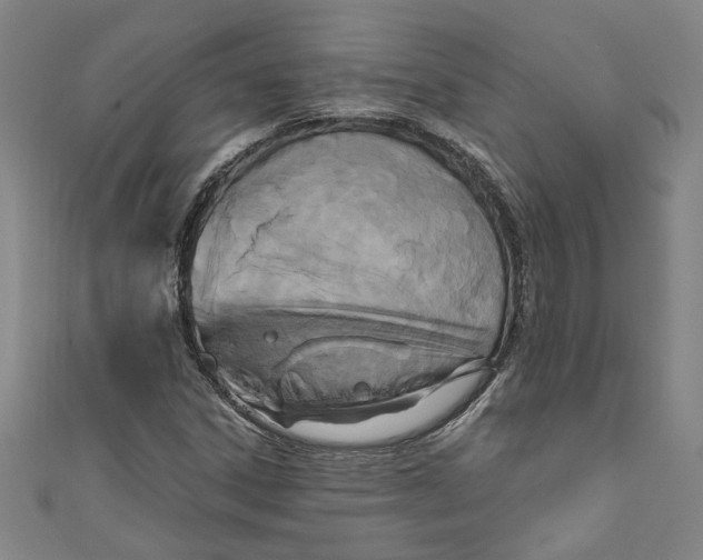 X0000111171306200907221019