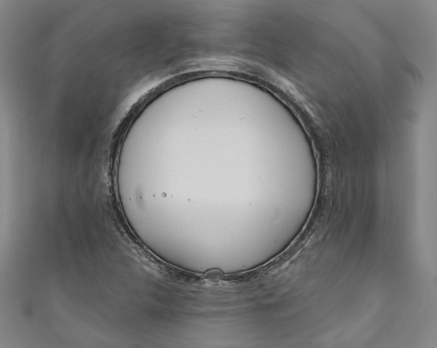 X0000111171312200907221020