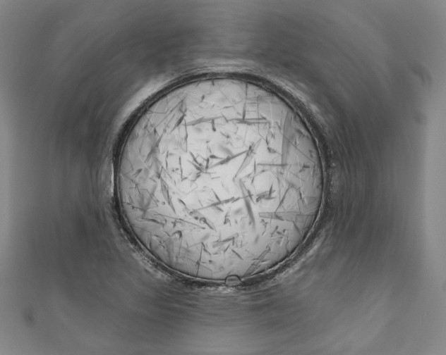 X0000111171317200907221020