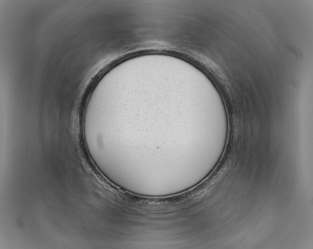 X0000111171318200907221020