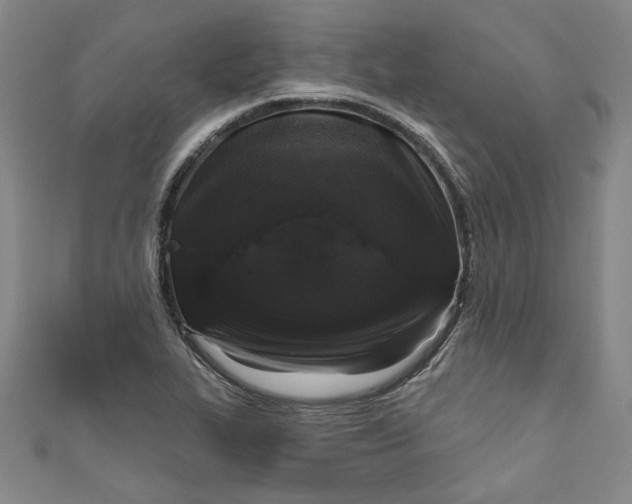 X0000111171319200907221020