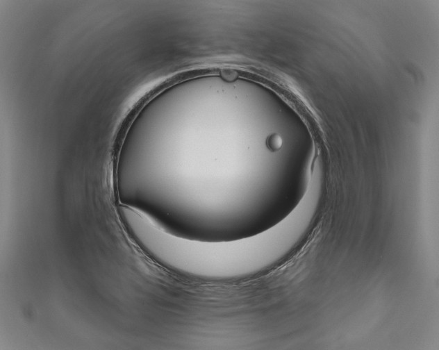 X0000111171320200907221020