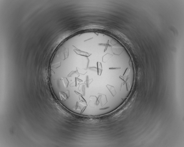 X0000111171321200907221020