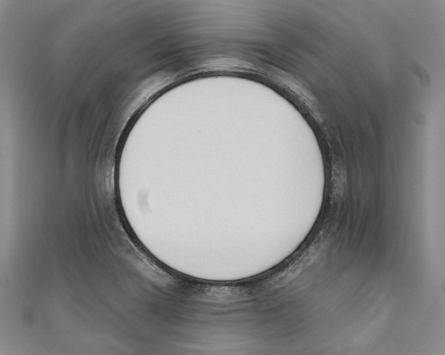 X0000111171322200907221020