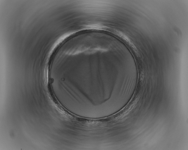 X0000111171323200907221020