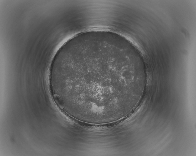 X0000111171325200907221020